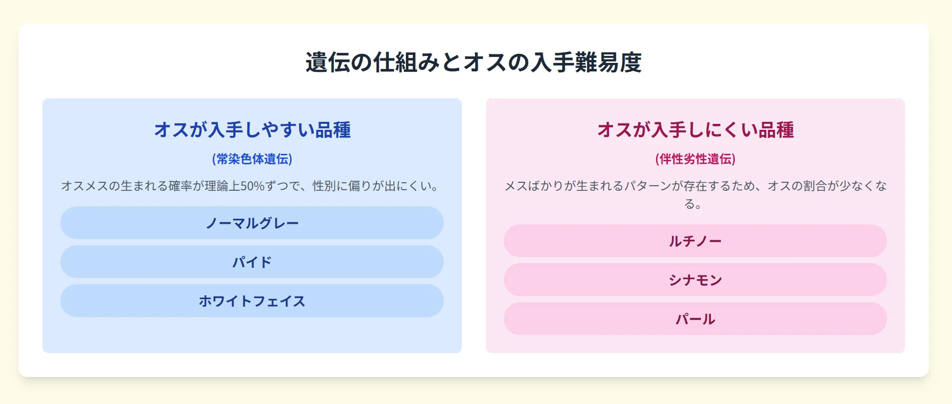 オカメインコの遺伝形式「常染色体遺伝」と「伴性劣性遺伝」の違いを比較する図。常染色体遺伝(パイド等)はオスメスが均等に生まれ、伴性劣性遺伝(ルチノー等)はメスが多くなる傾向を解説。