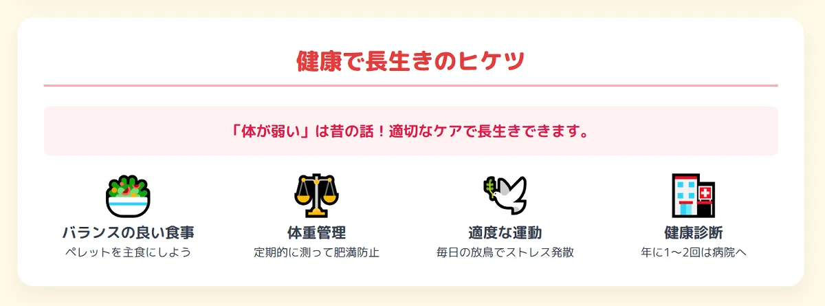 栄養バランスの取れたペレットや体重計など、オカメインコルチノーを長生きさせるための飼育グッズ。平均寿命20年、最高で38歳の記録もある。