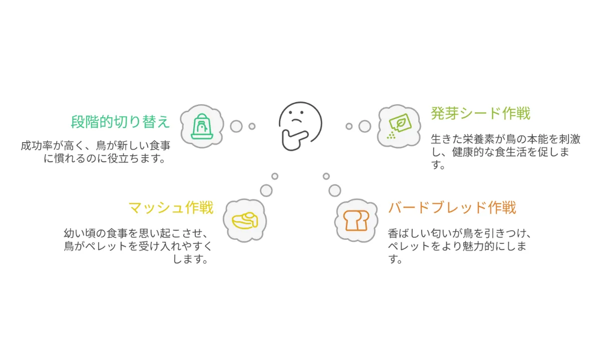 ペレットを食べないオカメインコへの3つの対策インフォグラフィック。「温かいマッシュ作戦」「バードブレッド作戦」「発芽シード作戦」を紹介。