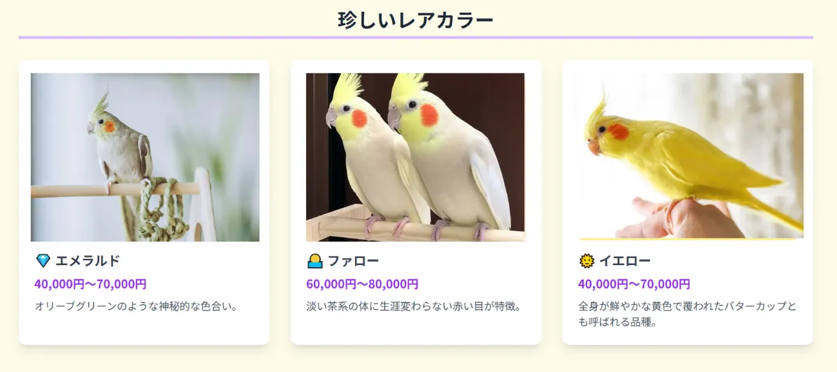 オカメインコの希少なレアカラー3品種を紹介するインフォグラフィック。エメラルド(4万円〜)、ファロー(6万円〜)、イエロー(4万円〜)といった珍しい品種の特徴と価格相場を解説。