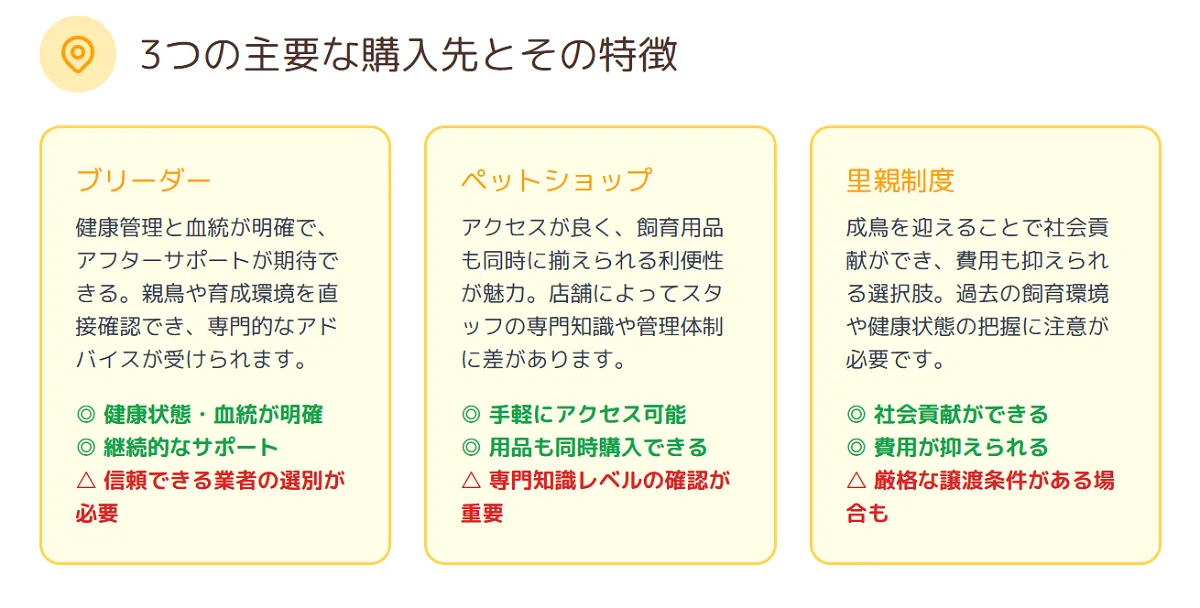オカメインコの購入先であるブリーダー、ペットショップ、里親制度の3つの選択肢を比較するインフォグラフィック。それぞれの特徴とメリット・デメリットを一覧で解説。