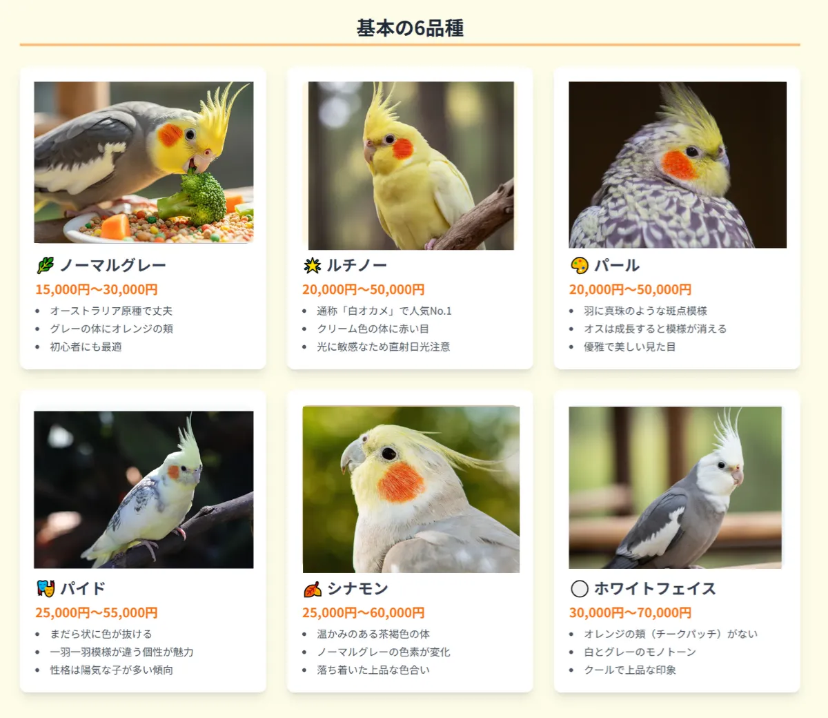 オカメインコの基本6品種を写真付きで紹介するインフォグラフィック。原種のノーマルグレー(1.5万円〜)、人気のルチノー(2万円〜)、パール(2万円〜)など、各種の特徴と価格相場を一覧化。
