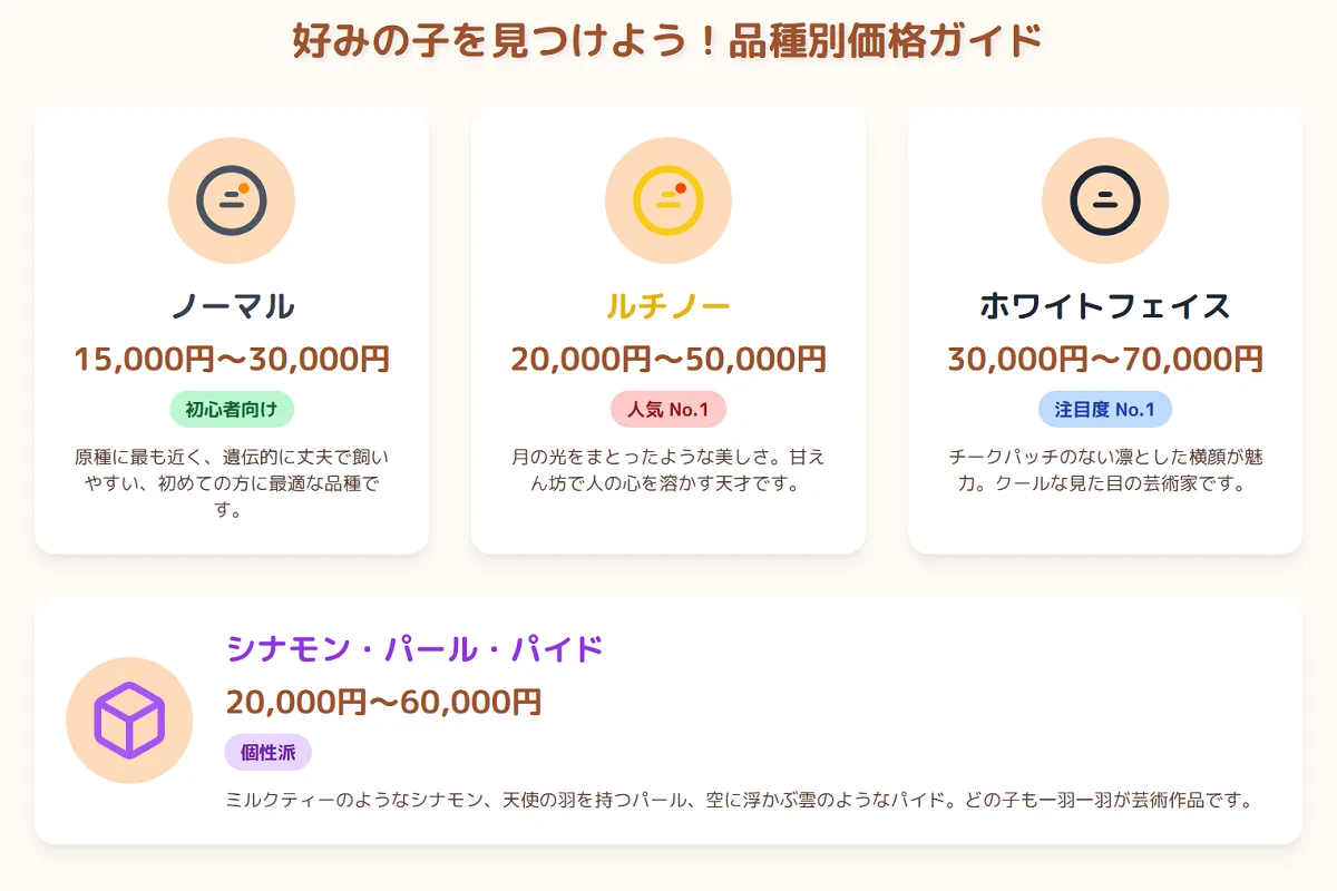 オカメインコの値段に関わる色の違いを一覧で紹介。ノーマル、ホワイトフェイス、ルチノーなど、人気の品種が集合。