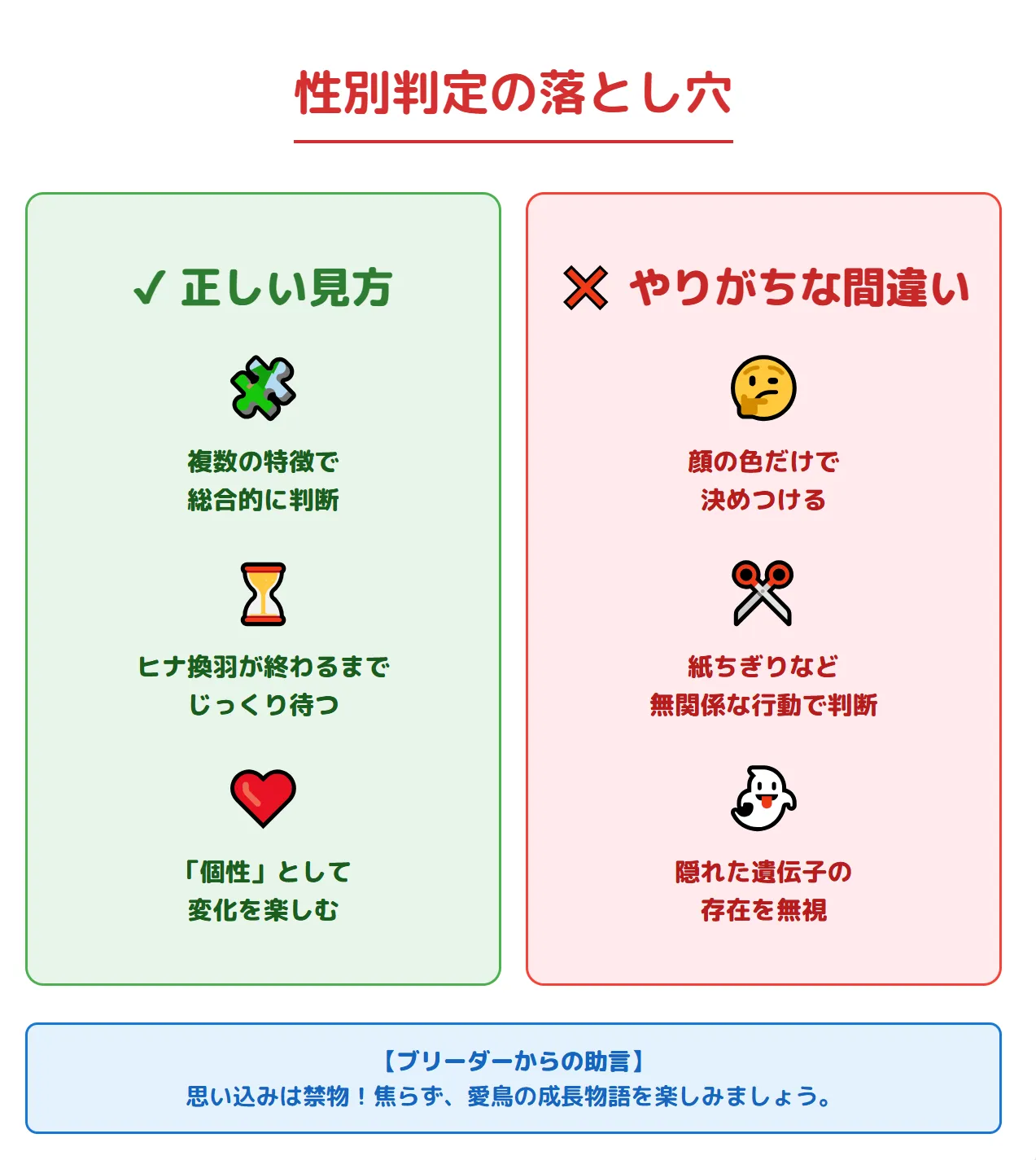 オカメインコの性別判定の注意点を示すイラスト。顔の色など一つの特徴で決めつけず、複数のサインを総合的に観察することが重要。