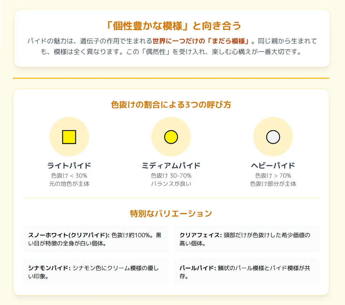 パイドの色抜けの割合による3つの呼び方。