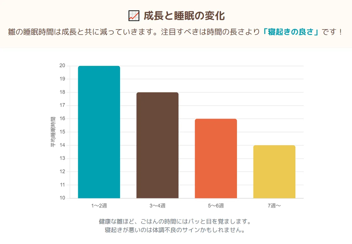 週齢と共に成長するオカメインコの雛。生後1-2週では18-20時間寝るが、生後7週以降は12-14時間へと睡眠時間が変化していく様子を示す画像。