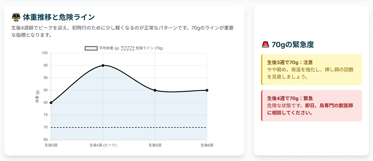 オカメインコ雛の正常な体重推移を示すグラフ。生後4週で体重85-95gのピークを迎え、初飛行に向けて80-85gに減少するパターンを図解。70gが危険ラインであることも示している。
