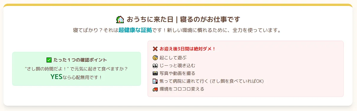 お迎え直後のオカメインコの雛。新しい環境に適応するため、挿し餌以外は18時間以上寝るのが仕事であることを示すアイキャッチ画像。