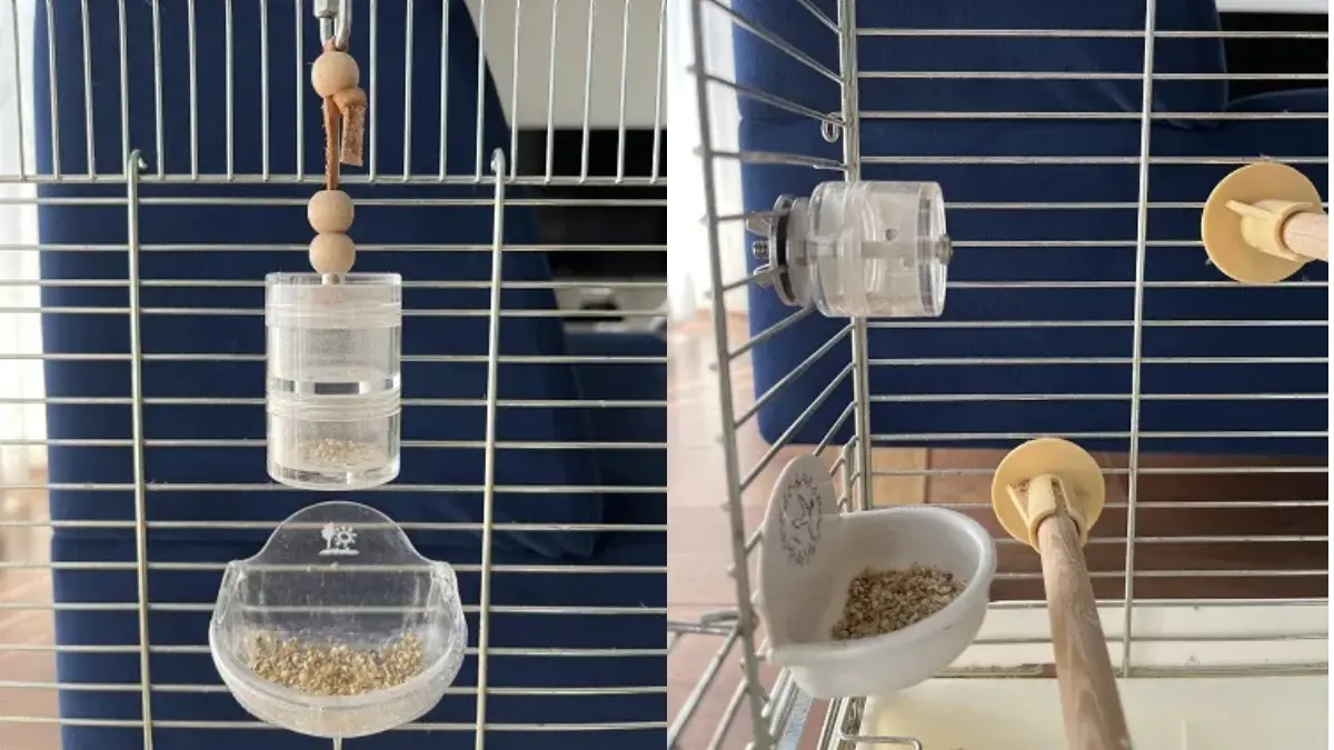 オカメインコがケージ内のおもちゃで遊んでいる様子。フォージングトイやブランコで退屈防止を実現