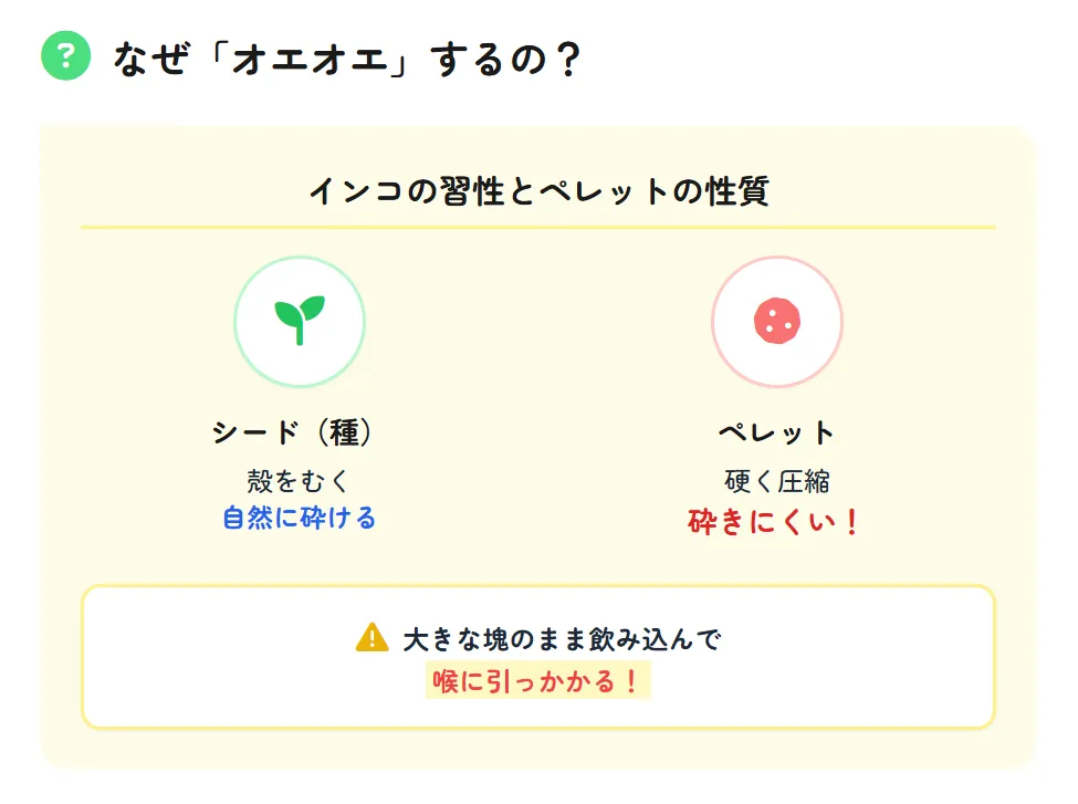 セキセイインコがペレットでオエオエする様子。喉やそのうにペレットが詰まり、えずくような仕草を見せている状態を示す