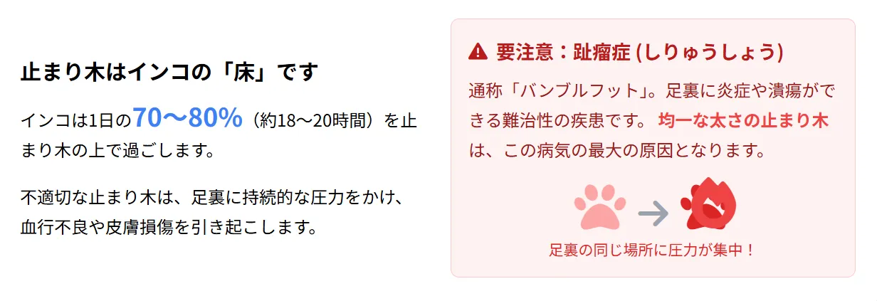 インコの足裏の健康と止まり木の重要性を示すインフォグラフィック。自然木とプラスチック製の比較、趾瘤症のリスク、一日の使用時間70～80%を図解