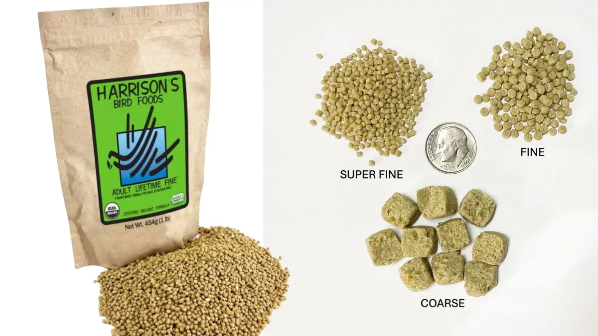 ハリソンペレットのスーパーファインとファインの粒サイズ比較。1円玉と並べた実寸写真