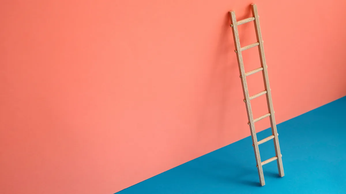 ハリソンペレットの選び方を5つのステップで図解。鳥種確認から粒サイズ決定、体重測定、年齢確認、お試し購入、食いつき観察まで順を追って解説。