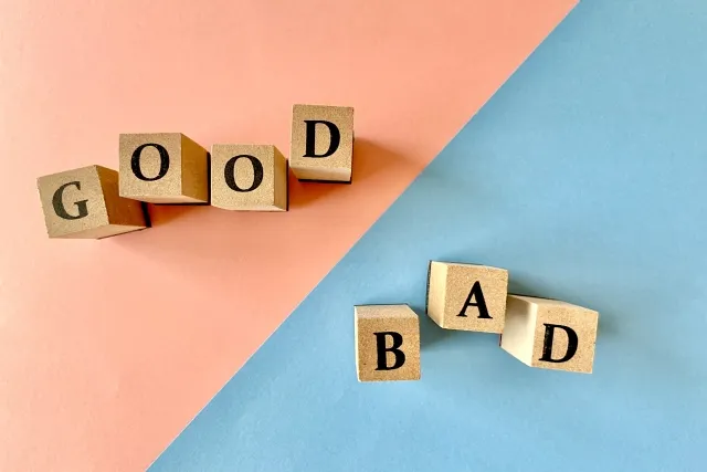 フルーツブレンドを食べるインコ。飼い主の口コミや評判を象徴する画像。