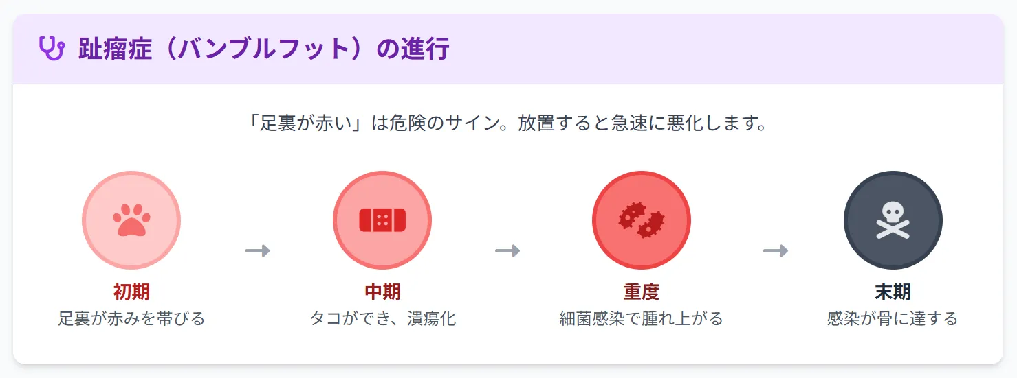 趾瘤症(バンブルフット)の症状段階を示す図解。初期の足裏の赤みから重症化した潰瘍・腫れまでの進行過程を視覚化