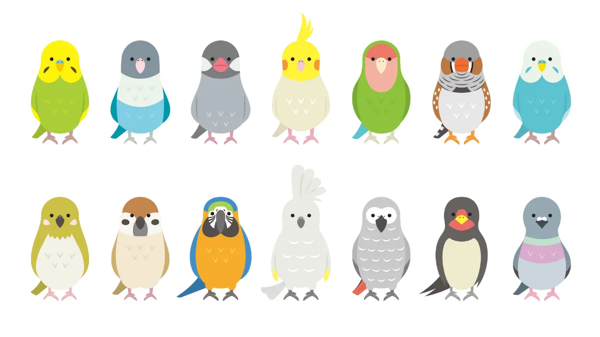 ハリソンペレットの粒サイズ4種類を視覚的に比較。マッシュ、スーパーファイン、ファイン、コースそれぞれの大きさと適応鳥種を図解。