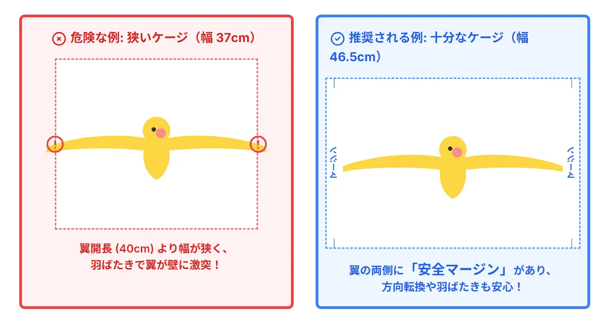 オカメインコケージ選びで重要な5つの判断基準を図解。飼育数・設置場所・予算・網タイプ・掃除のしやすさの各要素から最適なケージを選ぶ方法