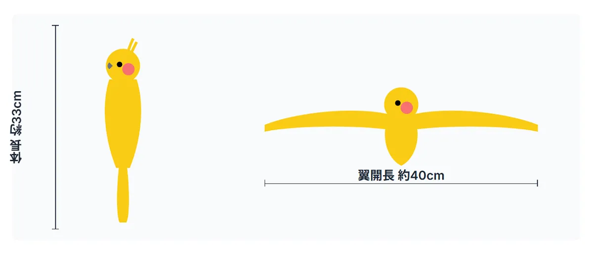 オカメインコの体長33cmと翼開長40cmから計算した適切なケージサイズ46.5cm以上の科学的根拠を示す図解