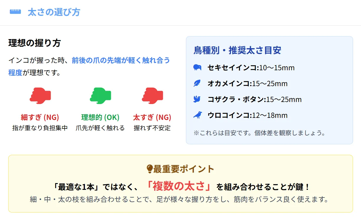 インコの鳥種別に最適な止まり木の太さを示す比較図。セキセイインコ10～15mm、オカメインコ15～25mm、中型インコ12～20mmを図解