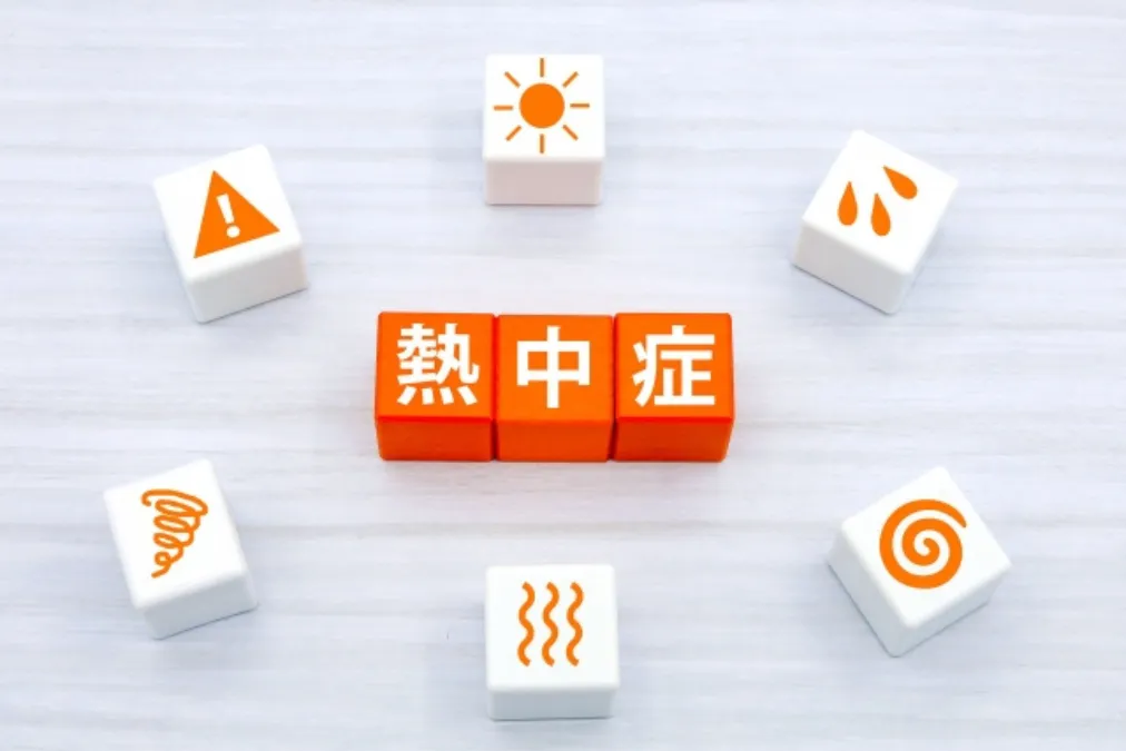 インコの熱中症リスクを示すインフォグラフィック。夏だけでなく春秋や冬の過度な保温でも発生し、体温調整機能の限界で命に関わる危険な状態になることを図解