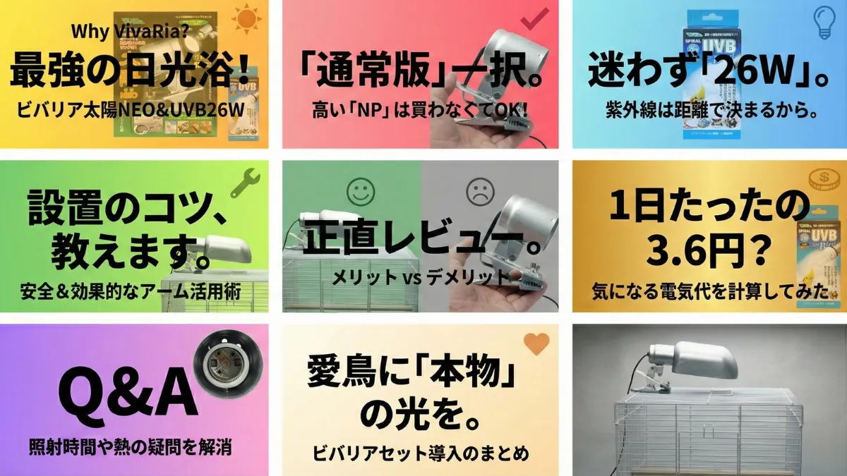 ビバリア太陽NEOスタンドとスパイラルUVB電球の組み合わせ。インコの日光浴に最適な紫外線ライトセット。