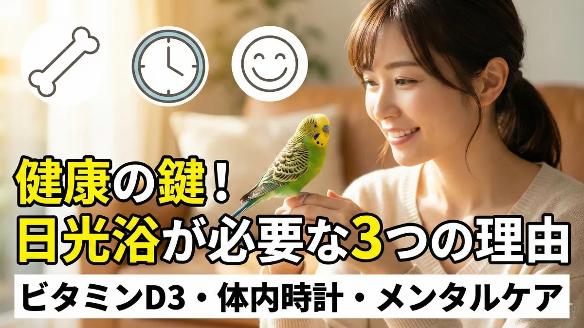 セキセイインコが日光浴をしている様子。ビタミンD3の生成とカルシウム吸収に必要な紫外線を浴びている。