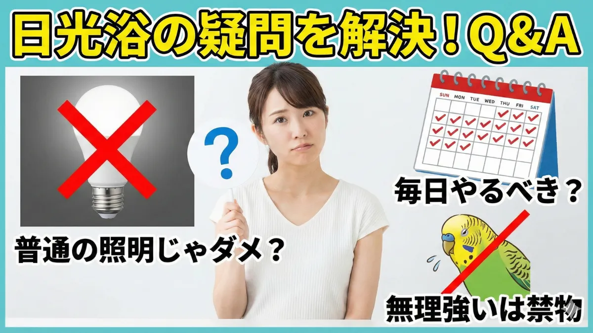 セキセイインコの日光浴に関するよくある質問。照明の種類、頻度、嫌がる子への対応などを解説。