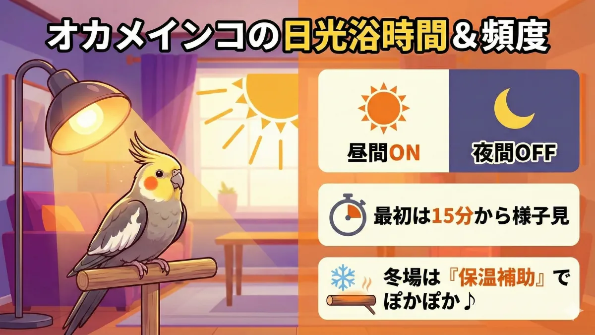 日光浴ライトの点灯時間を示すタイマーやスケジュール。1日1~4時間の目安で季節に応じた調整を表現。