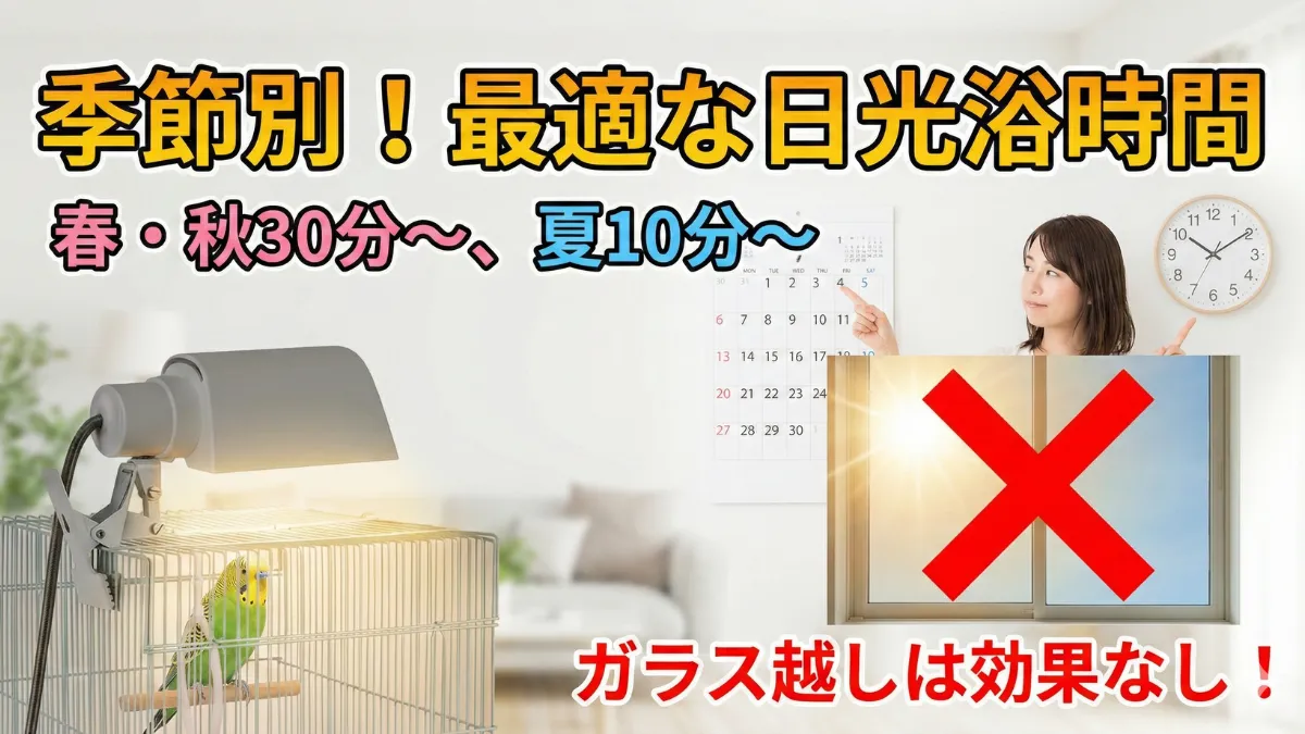 季節ごとのセキセイインコの日光浴時間の目安。春秋30分～1時間、夏10～15分、冬20～30分が適切。