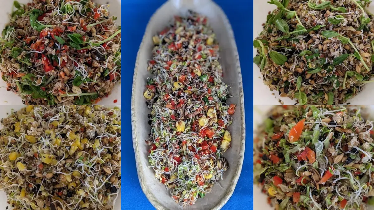 発芽シードとスプラウトと野菜を組み合わせたバードチョップの例。彩り良く栄養満点。