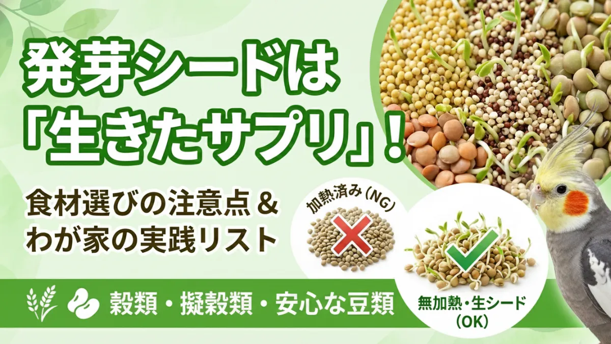 発芽シードの食材を並べたテーブル。穀類・豆類・擬穀類が木製スプーンに盛られた健康的なイメージ写真。