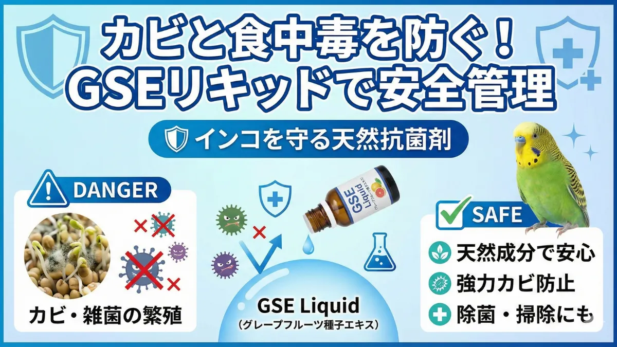 GSEリキッドを使った発芽シードのカビ対策を説明する画像。天然抗菌剤で安全管理。