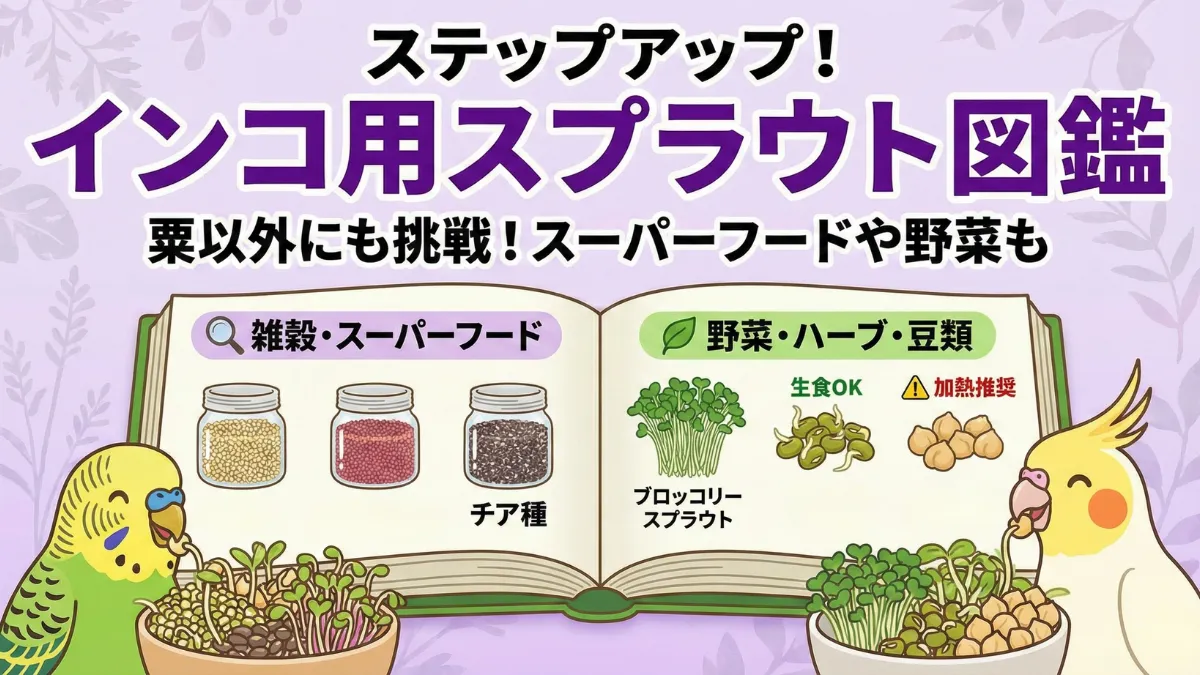インコに与えられる多様なスプラウトの種類を示す画像。キヌア・アマランサス・チアシード等。