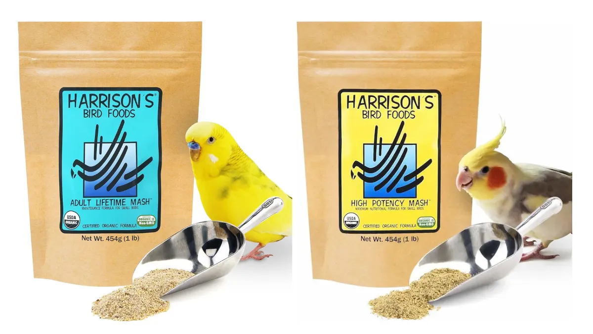 ハリソンマッシュのパッケージ2種類。ハイポテンシーとアダルトライフタイムの違いを比較した画像。