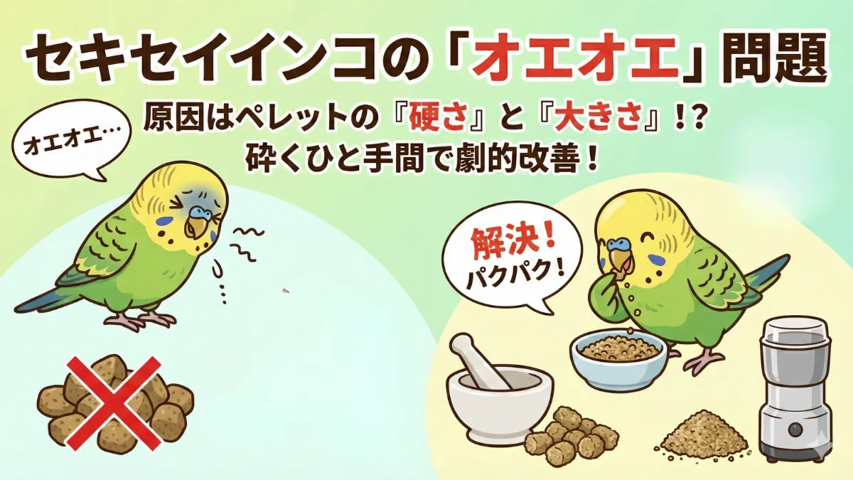 セキセイインコがペレットを食べてえずく様子。硬いペレットが喉に引っかかりオエオエする仕草を示す画像