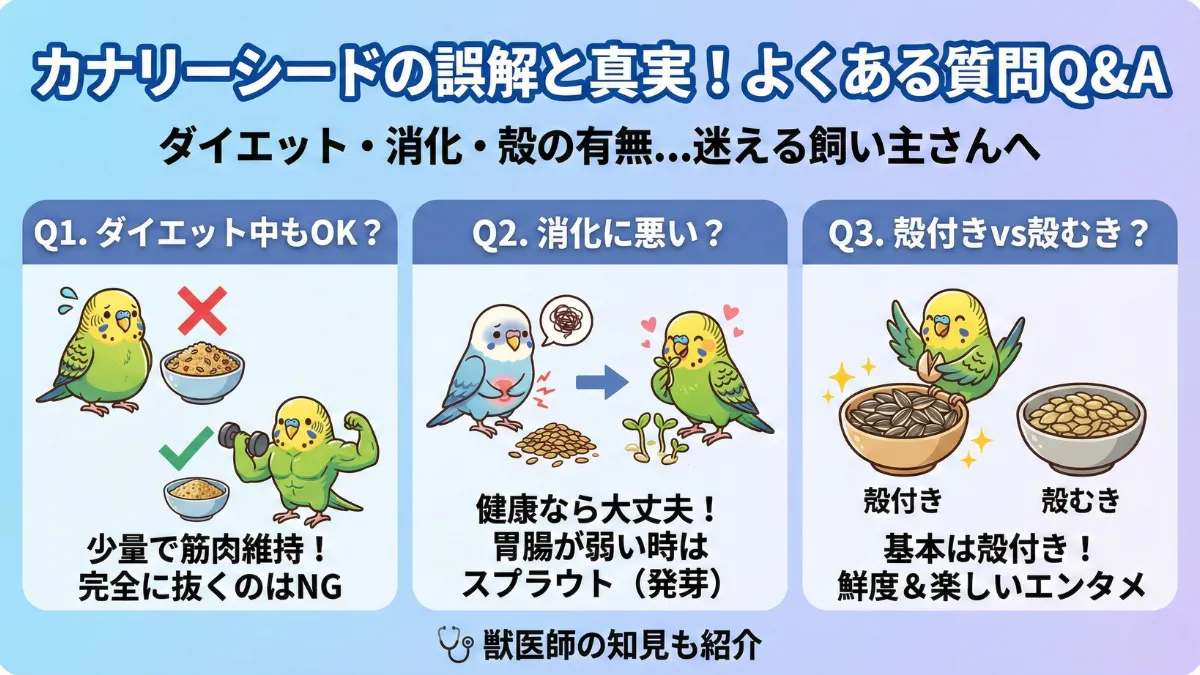 カナリーシードに関するよくある質問（ダイエット中の与え方・消化の良さ・殻付き殻むき）をまとめた図解。