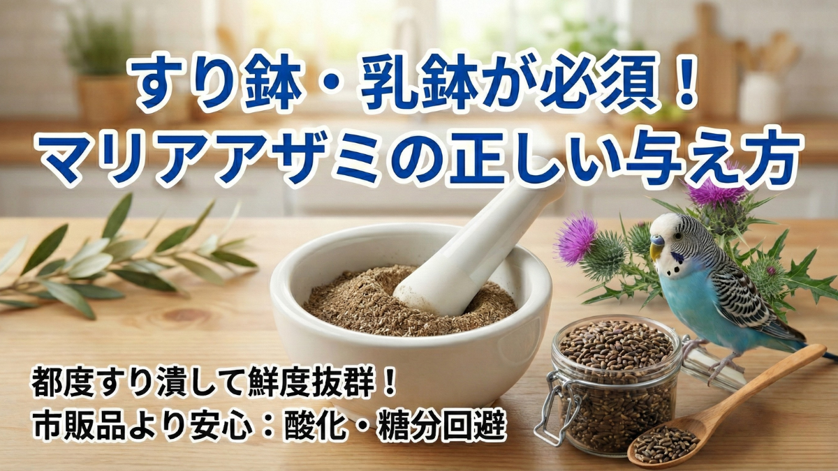 すり鉢と乳棒でマリアアザミの種を粉砕する手順を示すイラスト。種を入れて押し潰し粉末にする工程を図解。