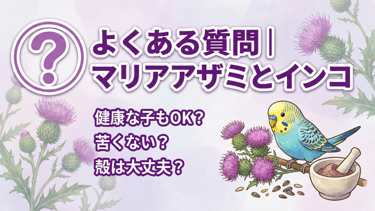 マリアアザミに関するよくある質問をイメージしたイラスト。疑問符と鳥のシルエットが配置されている。