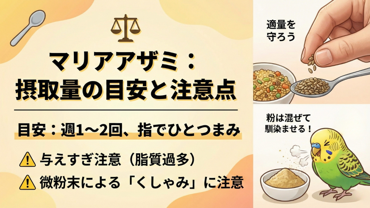 マリアアザミの適量を示す画像。指でひとつまみの種子5～6粒が小皿に乗っている様子と週1～2回の頻度表記。