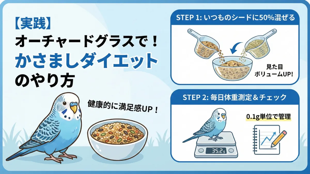 オーチャードグラスを使ったかさましダイエットの実践方法を示す画像。シードの配合比率と体重測定の重要性を解説。