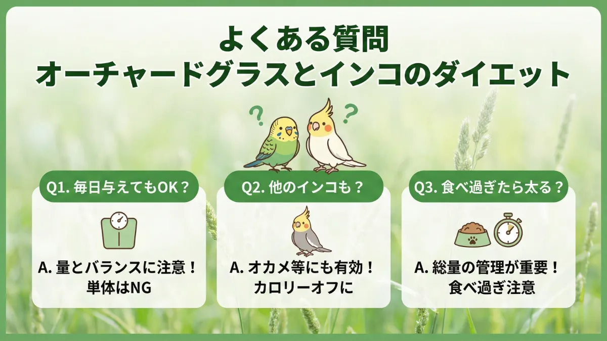 オーチャードグラスに関するよくある質問と回答を示す画像。毎日の給餌、鳥種別の効果、食べ過ぎのリスクについて解説。