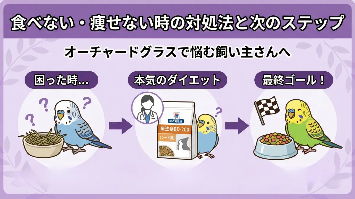 オーチャードグラスの代替案を示す画像。食べない時の対処法や療法食BD-200、ペレット切り替えへの道筋を解説。