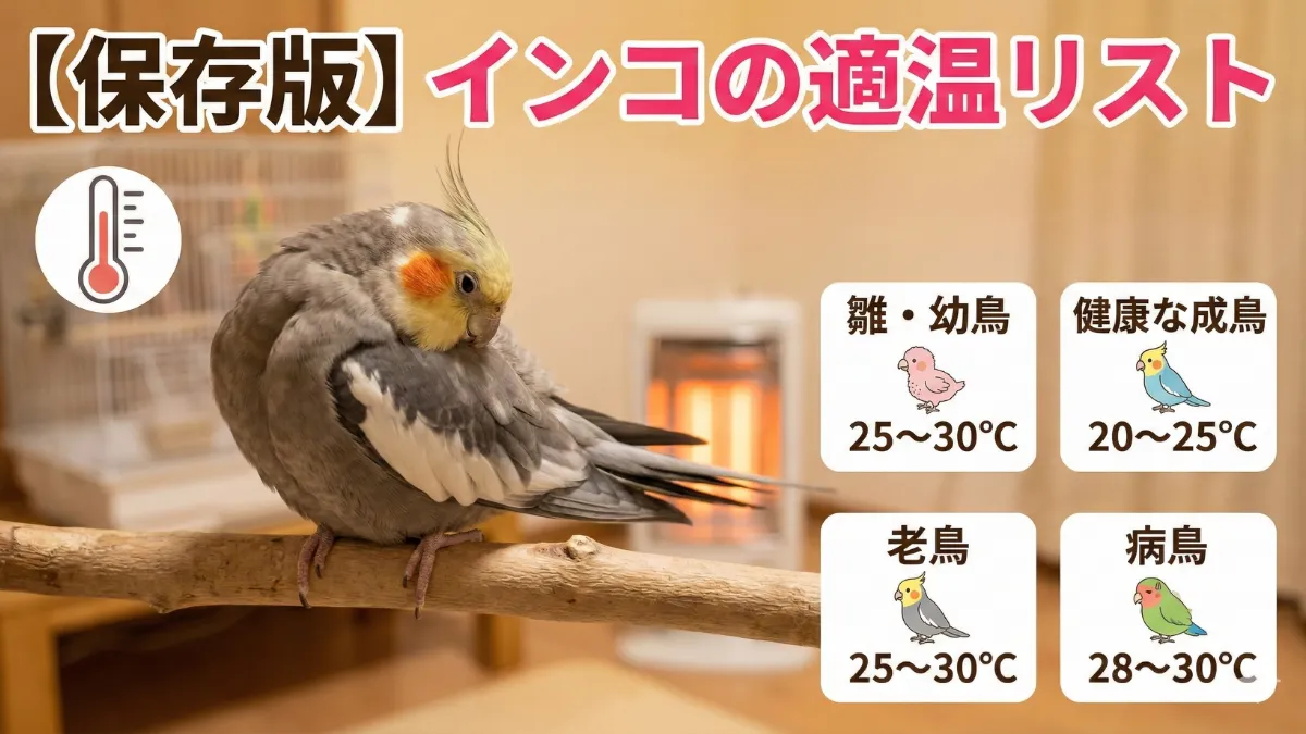 年齢別インコの適温リストを示す画像。幼鳥25~30℃、成鳥20~25℃、老鳥25~30℃、病鳥28~30℃が目安。
