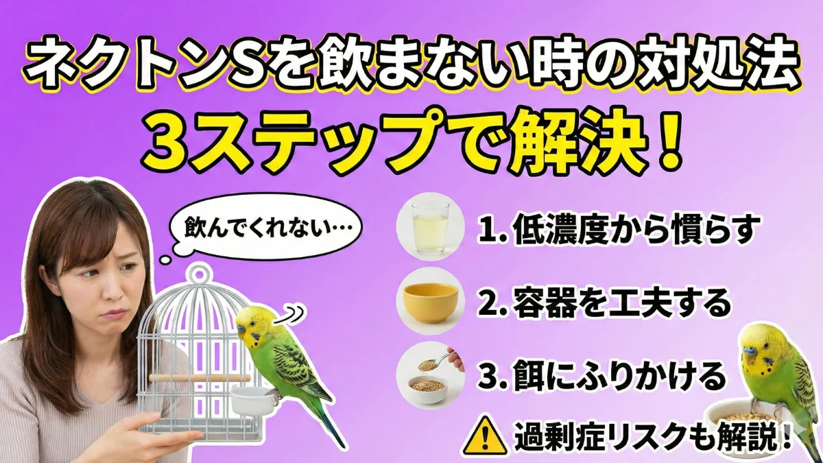 ネクトンSを飲まない時の対処法を示す画像。低濃度から慣らし、カナリーシードやむきオーツに薄くまぶす方法で愛鳥が受け入れやすくなる。