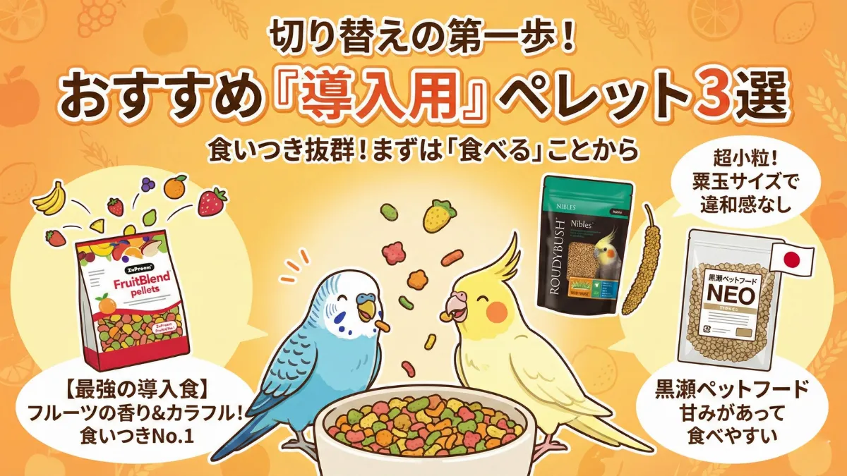 導入におすすめのペレット3種類が並んだ画像。ズプリームフルーツブレンド（カラフル）、ラウディブッシュニブルズ（小粒）、黒瀬ネオ（国産）のパッケージ。