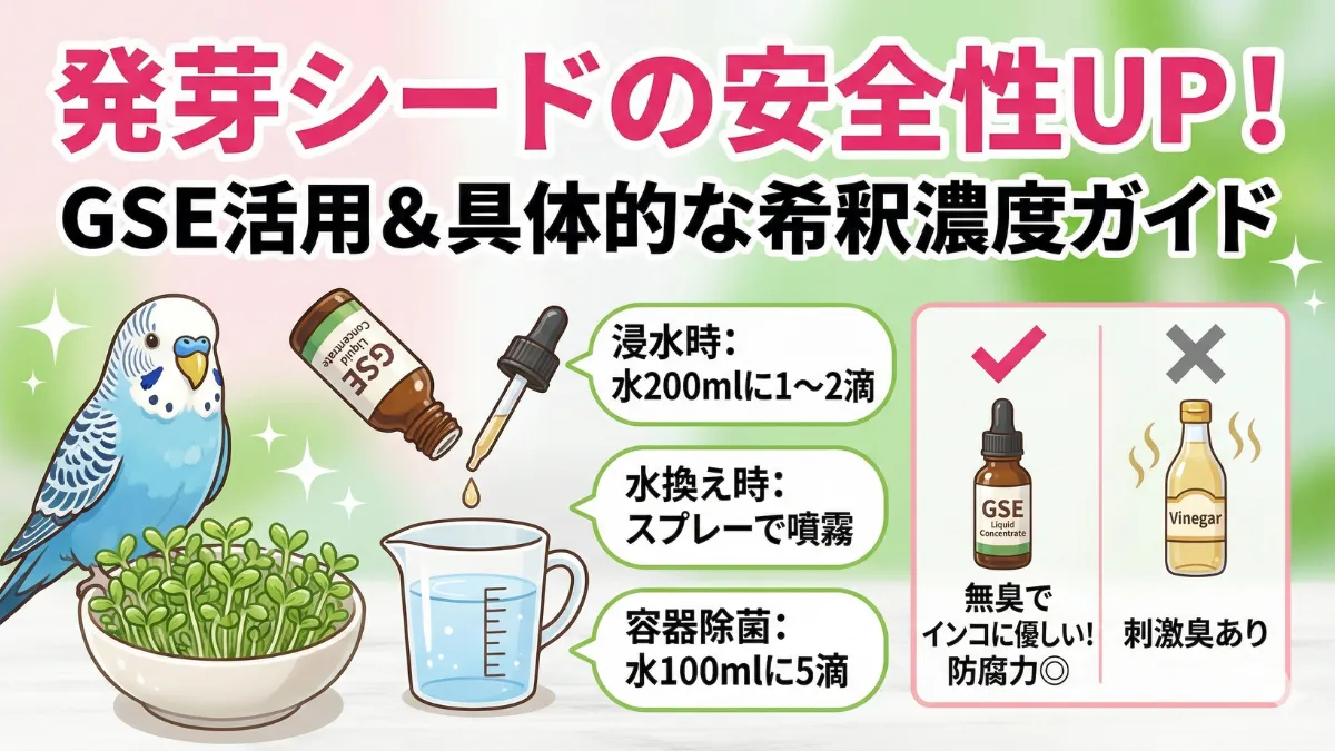 発芽シード作りでGSEを希釈している様子。スプレーボトルに水とGSE数滴を混ぜて安全な除菌水を作成する画像。
