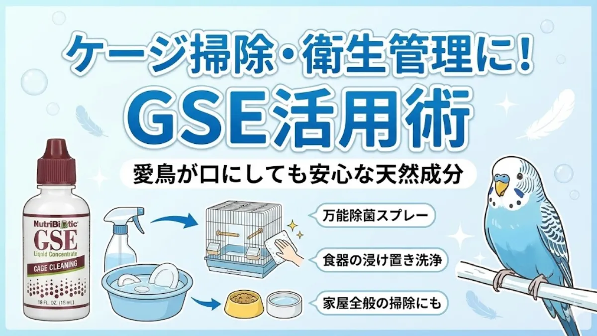 インコのケージをGSE希釈液でスプレー掃除している様子。止まり木やトレイを拭き取る日常的な衛生管理の画像。