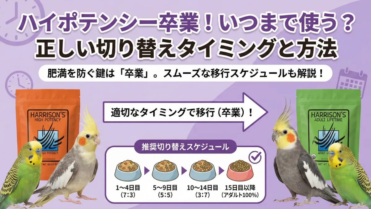 ハリソンハイポテンシーの適切な給餌タイミングを示すインフォグラフィック。幼鳥期・換羽期・病後回復期の3つの主要使用シーンを図解。