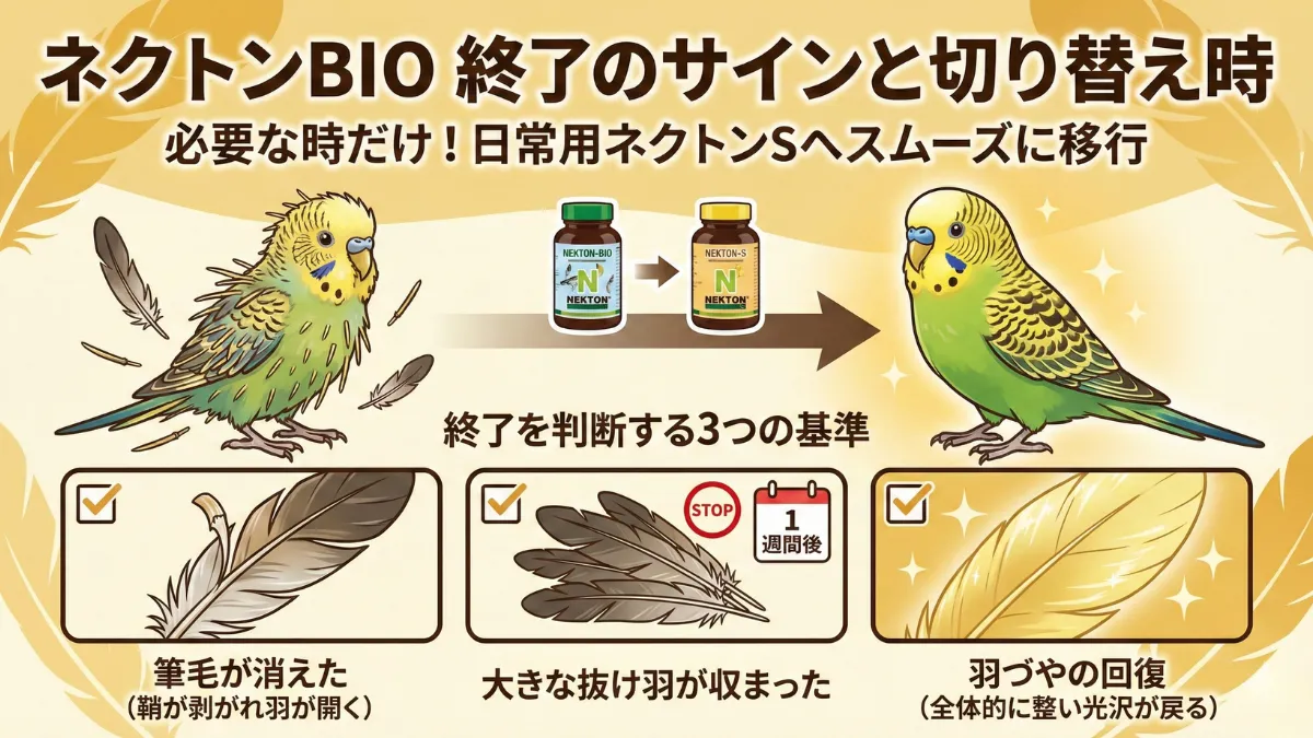 換羽期のタイミングを示すカレンダー画像。ネクトンBIO投与の開始から終了までの期間管理の目安。