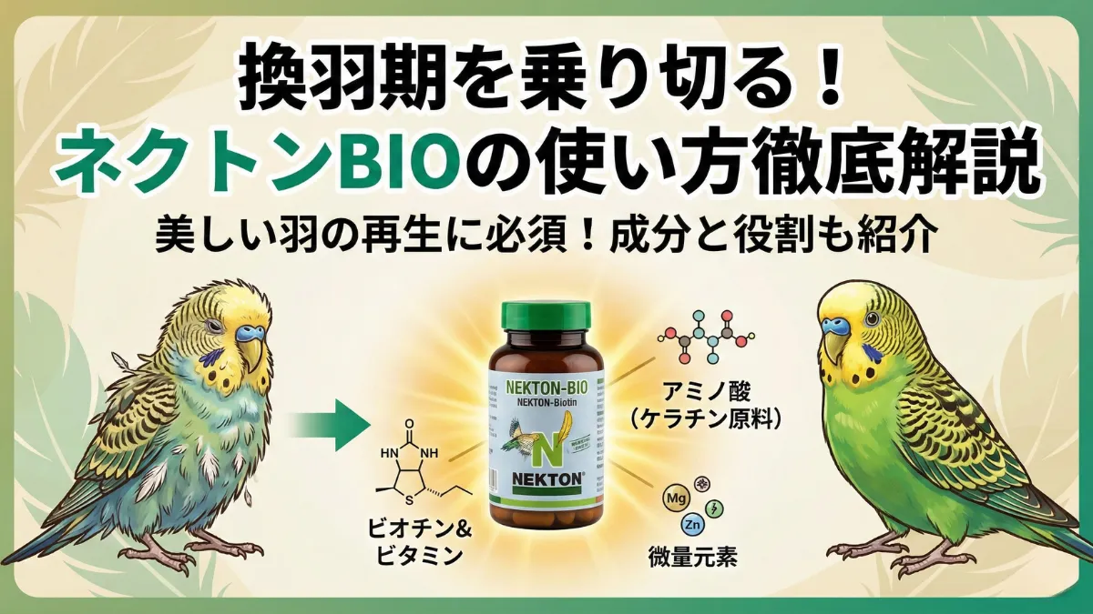 ネクトンBIOのボトルと粉末の写真。換羽期の小鳥に必要なビオチン・アミノ酸配合のサプリメントが鮮やかな黄色の粉末で見える。